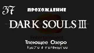 Dark Souls 3 _ #37 _ Тлеющее Озеро _ Книги о пиромантии / Без комментариев