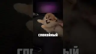 МЫ ЖЕ С ТОБОЙ ДРУЖИЛИ