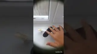 #fingerboard