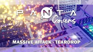 Massive Attack - Teardrop Cover (Live Recording)