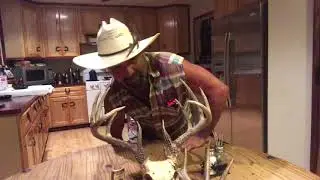 DANA’S SPAGHETTI