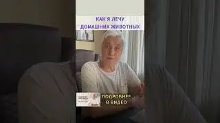 Здоровье и лечение домашних животных: КАК Я ЛЕЧУ ЛЮБИМЫХ ПИТОМЦЕВ