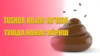 Tushda najas ko'rish | Тушда нажас кўриш