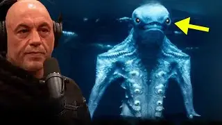 Joe Rogan Tells Us What The Navy Saw While Diving in the Ocean and It's Terriffying!