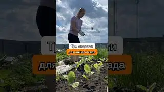 Об этом я узнала в 33 года! Полезные советы для дачи, которые вас удивят #лайфхаки #огород
