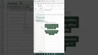 Most Useful Excel Time Saving Trick - You Show Know 