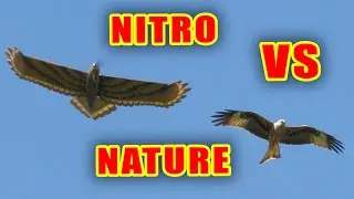 Nitro Vs Nature: The ultimate showdown