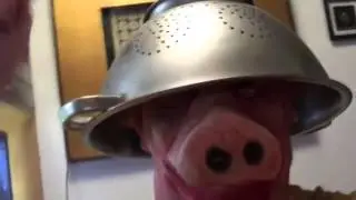 Извините