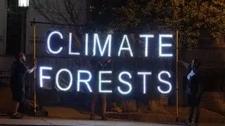 Protecting Forests is a Climate Solution