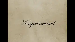 Livre Plénitude chapitre 9