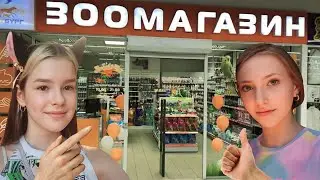 Вернулись в ЗООМАГАЗИН / Новая участница
