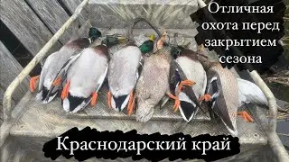 КРАЙНЯЯ ОХОТА на УТКУ 🦆🦆🦆перед закрытием сезона2021! Краснодарский край!
