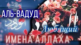 Имя Аллаха - Любящий. Аль Вадуд. Ясир Кади