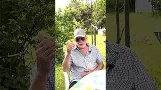 Кушень используется официальной медициной  #травянойсбор #дикоросы