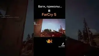 Баги, Приколы в FarCry 5