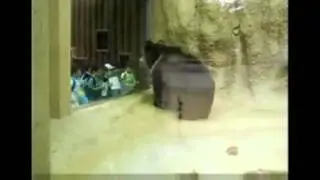 Медведь танцует хип-хоп - японские дети этому рады)