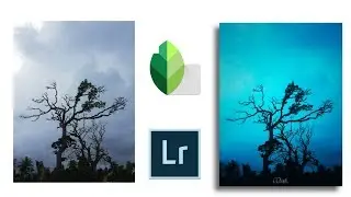 Lightroom Mobile Tutorial | Mobile Photography