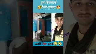 दुध निकालने का देशी तरीका 😳 देशी जुगाड || દુધ દહોવાનો દેશી જુગાડ #short #shorts
