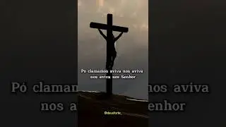 MUITO LINDO