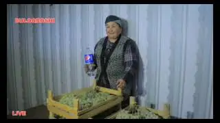 Buloqboshi sirlari va oziq-ovqat maxsulotlari