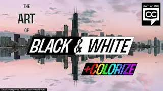The Art of Black & White