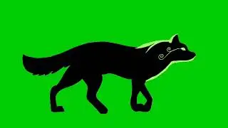 Fox walking green screen animation| Editor G
