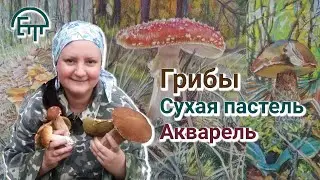 Exhibition by Elena Tyurina: Mushrooms. Dry pastel. Watercolor. Photo. Author's music