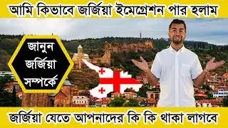 কিভাবে জর্জিয়া ইমেগ্রেশন পার হবেন । 