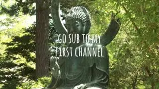 lol.mp4