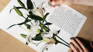 Drawing Lily Flowers - Saint Joseph Prayer