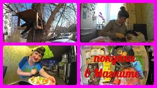 VLOG покормили котов/будни семьи/покупки в Магните, новая сковорода Royal Kuchen