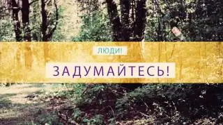 Лес