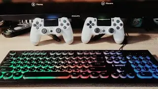 PS4 Dualshock 4 Gamepad, The Best Replica, Connecting to PC, Setting Up