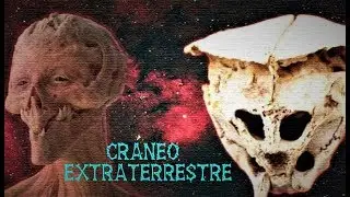 El Cráneo de León: ¿Evidencia de Vida Extraterrestre?