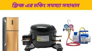 বার বার ফ্রিজে চকিং করে এমন হলে কি করণীয় কী। কিভাবে চকিং সমস্যা সমাধান করা যায়