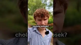 Głębokie leśne przemyślenia