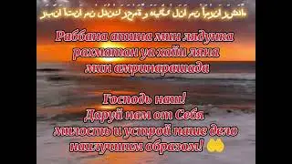 #алькахф