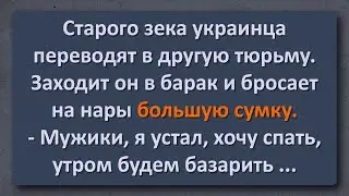 Анекдот! Сало! (Рестайлинг)
