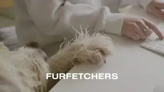 FURFETCHERS