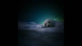 Мем из 2030. Вы не поймёте