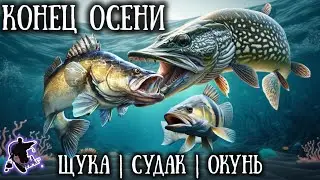 Это стоит знать каждому🎣 Рыбалка на хищника поздней осенью. Щука,судак,окунь.