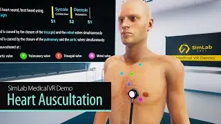 VR Medical Training (Auscultation)