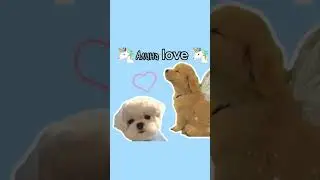 #школа