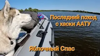 Поход "Яблочный Спас 2024" | По островам реки Волга вместе с хаски | Кемпинг