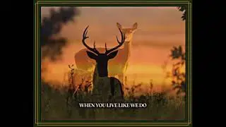 Turnpike Troubadours - On The Red River (Official Lyric Video)