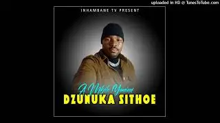 Dzunuka Sithoe - A mbilo ya mina (Official Audio)