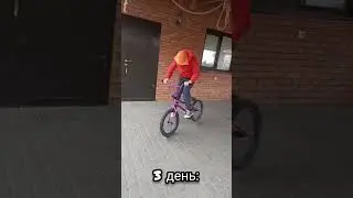 как я учил фуджем вип 