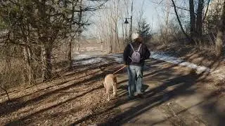 Midwest Puppy Walk