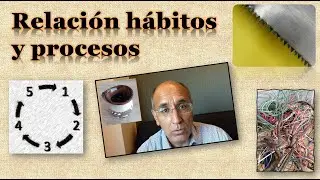 🔎 Hábitos y procesos ⚙️