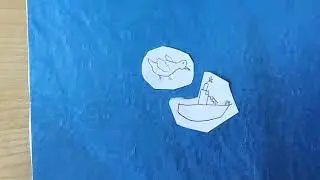 Bird stop motion